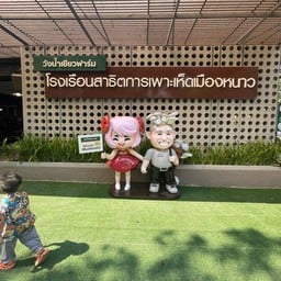 วังน้ำเขียวฟาร์ม