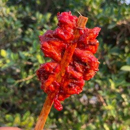 ไก่ย่าง แชมป์