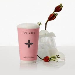 ชานมการ์ดีเนีย