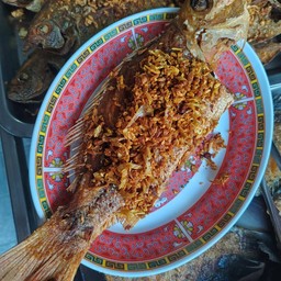 ปลากะพงแดง (ทอดขมิ้น)
