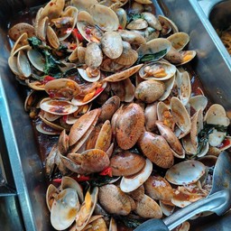 ผัดหอยลาย