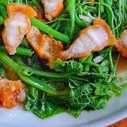 ยอดมะระน้ำมันหอยหมูกรอบ(ยอดแม้ว)
