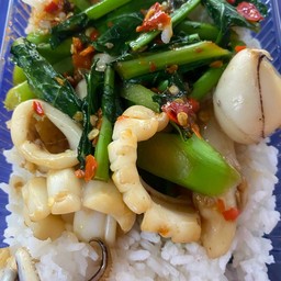 ผัดคะน้าหมึกราดข้าว