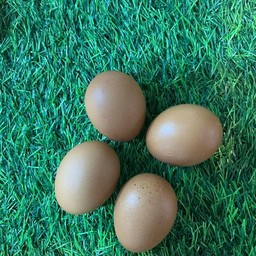 ไข่ไก่ต้ม