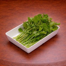 ขึ้นฉ่าย