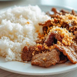 ข้าวหน้าหมูย่าง