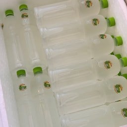 หอมมะพร้าว เขาใหญ่