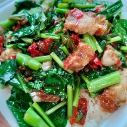 ราดหน้ายอดผัก x ผัดซีอิ๊ว