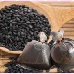 ต้นงา พลับพลาไชย