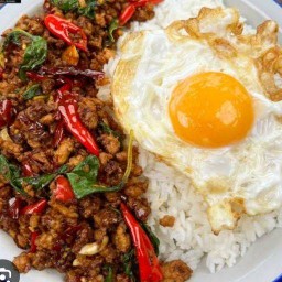 ครัวในสวนอาหารตามสั่งอาหารป่าเครื่องดื่ม