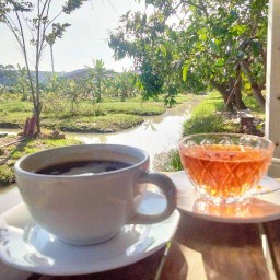 รีเซ็ต Coffee love กาแฟในสวน