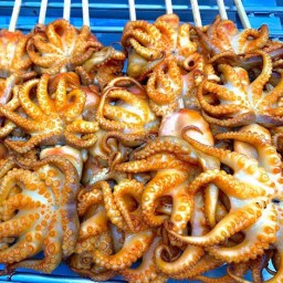 หมึกย่าง ณ สวนหลวง