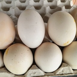 ไข่ข้าว (เซ็ต3ฟอง)