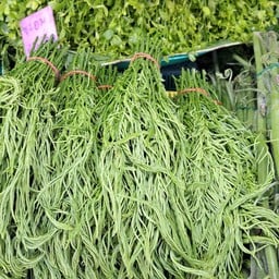 ศรัญญาผักสด