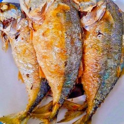 ปลาทูทอด