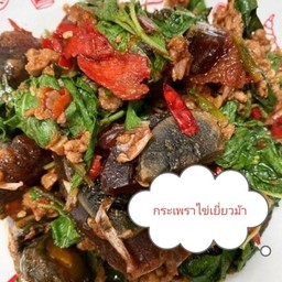 กระเพราไข่เยี่ยวม้าหมูสับ