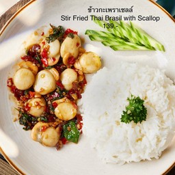 ข้าวกะเพราหอยเชลล์