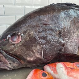 ข้าวแห้งเก๋า