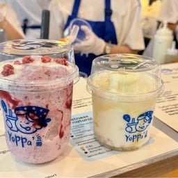 yoppa yogurt
