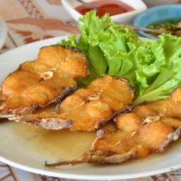 ปลาเค้าทอดน้ำปลา