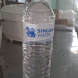 น้ำดื่ม ตราสิงห์ 600 ml.