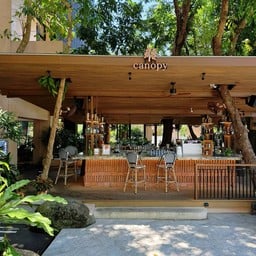 Canopy Tree Bar