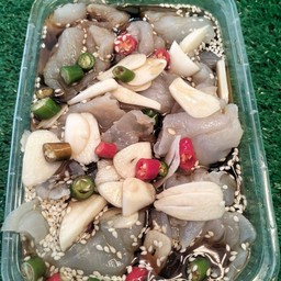 แมงกระพรุน