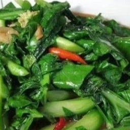ร้านข้าวแกง/ตามสั่ง ๒ นคร