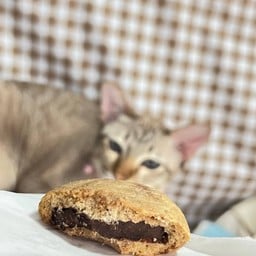 Let’s Milk ซอยกเษียรสินธุ์