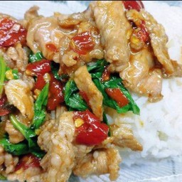 ผัดใบโหระพาราดข้าว