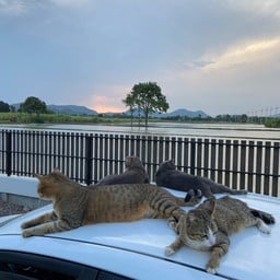 แอคคูเทค คอนสตรัคชั่น บริษัท แอคคูเทค คอนสตรัคชั่น จํากัด