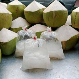 มะพร้าวน้ำหอม บ้านแพ้วแท้ 💯 by โกขัวญ ✅ไม่ผสมใดๆ สดจากสวน🌴 พระราม 6 ซ.19