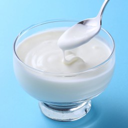 Plain Yogurt