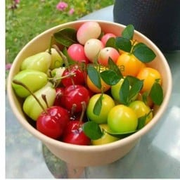 ชุบชีวา ลูกชุบพัทลุง Choupcheewa