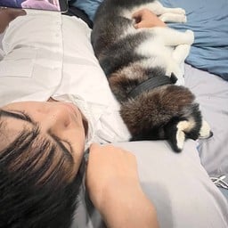 ส้มตำเปิดท้าย นิคมพัฒนา ซ.12-13 หน้าปั๊มบางจาก ซ.12-13