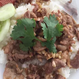 ข้าวหมูทอดกระเทียมพริกไทย