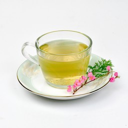 ชาใบหม่อน ร้อน