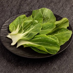 กวางตุ้ง