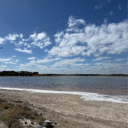 pink lake