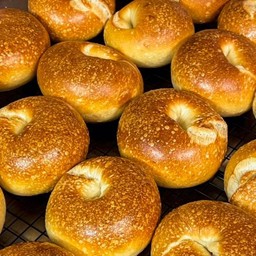 Plain Bagel