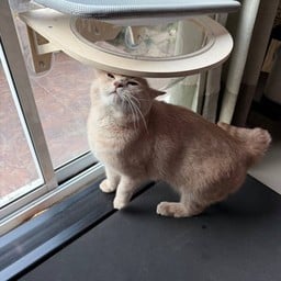 FullFeel by กงเกี๊ยด