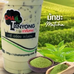 มัทฉะนม ( ตันหยง)