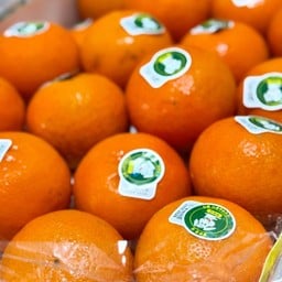 ผลไม้ปอกพร้อมทาน (บ้านผลไม้ พิชญะ)