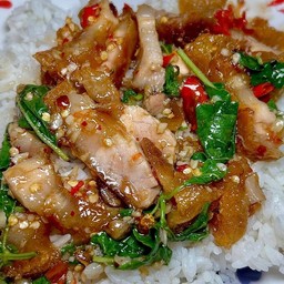 ข้าวกะเพราหมูกรอบကဖောင်းမိုကော်