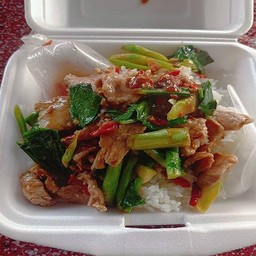 ผัดคะน้า
