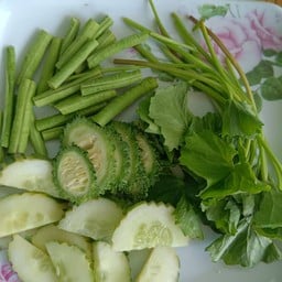 ผักสดรวม