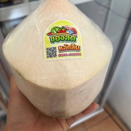 มะพร้าวเป็นลูก