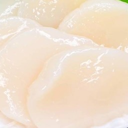 8240.D-Hotate Sashimi