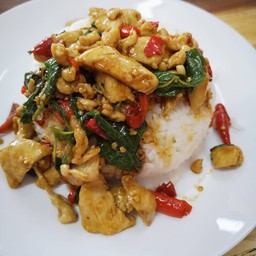 กระต่ายนัวคิทเช่น