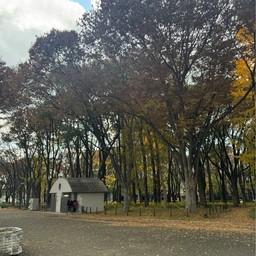 Shirakawa Park 白川公園
